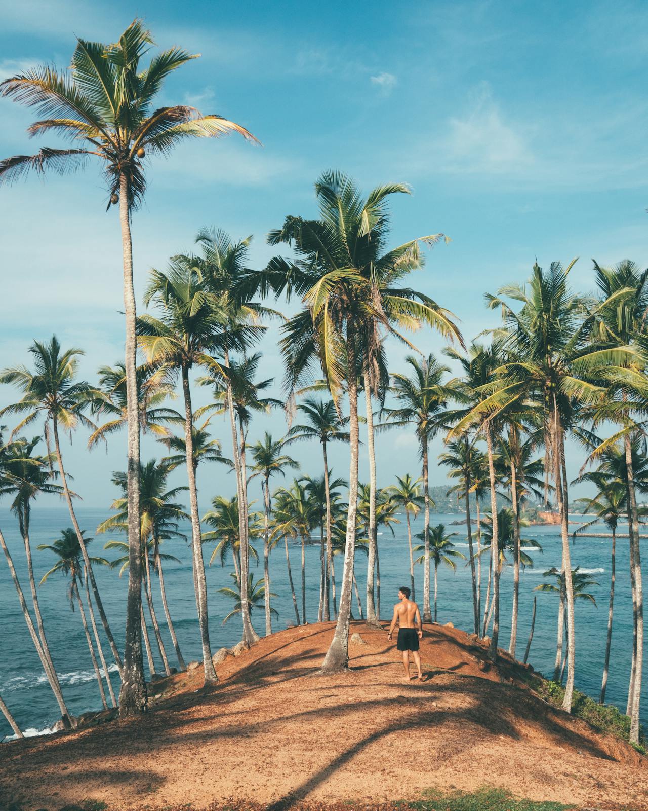 Ultimate Travel Guide to Sri Lanka